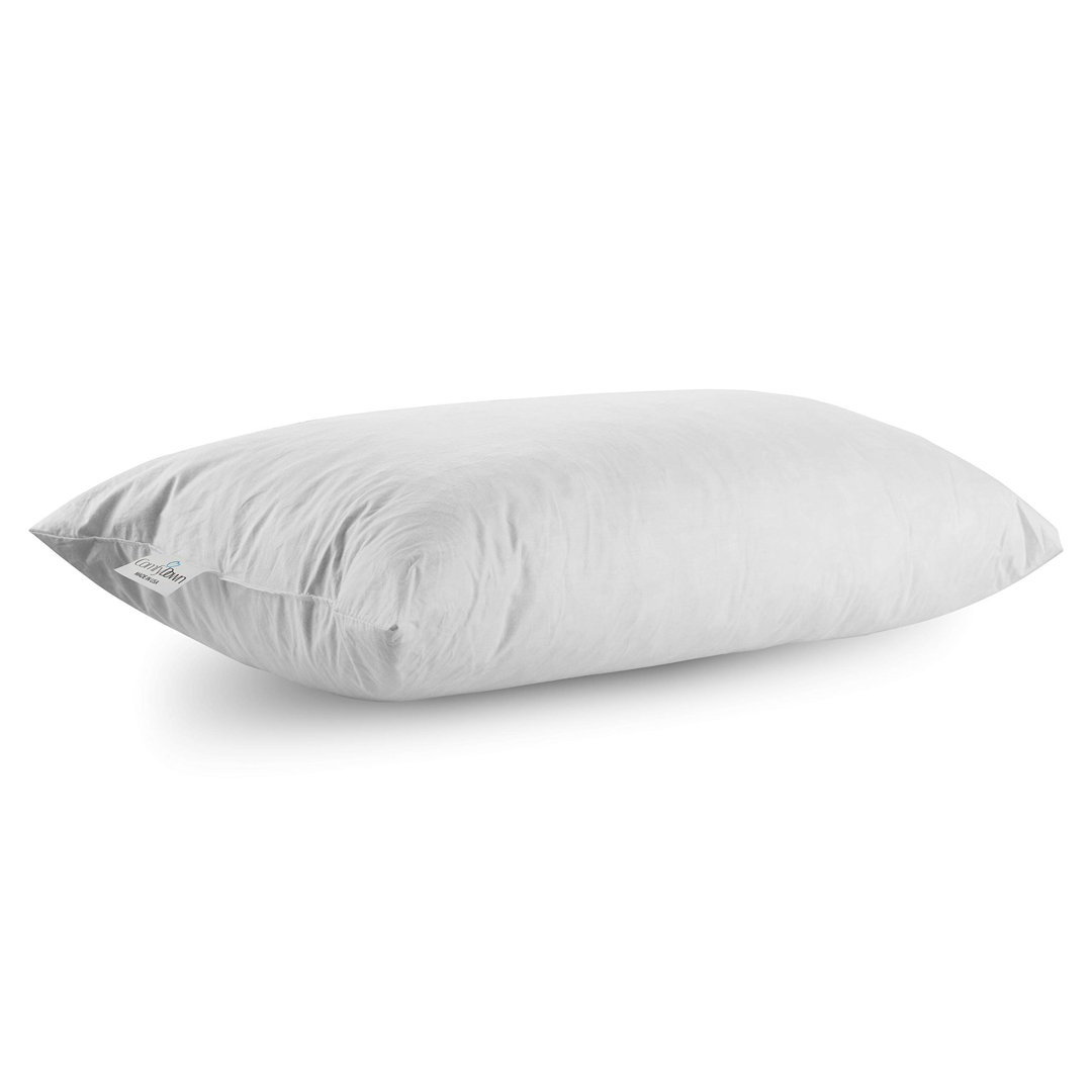 ComfyDown 95% Feather 5% Down Rectangle Decorative Pillow Insert Sham Stuffer